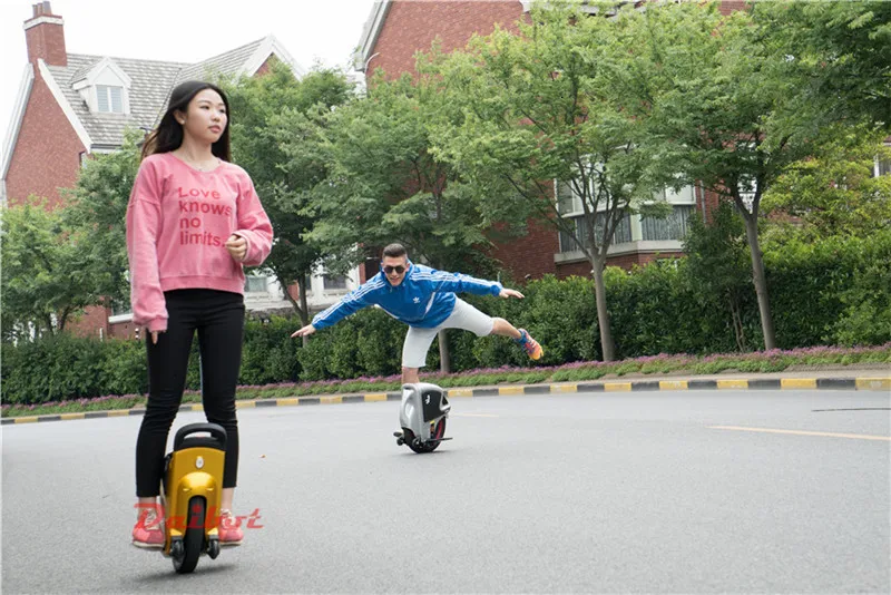 Daibot Electric Unicycle Scooter One Wheel Self Balancing Scooters 350W 14 inch With Push Rod Electric Scooter Adult             (15)