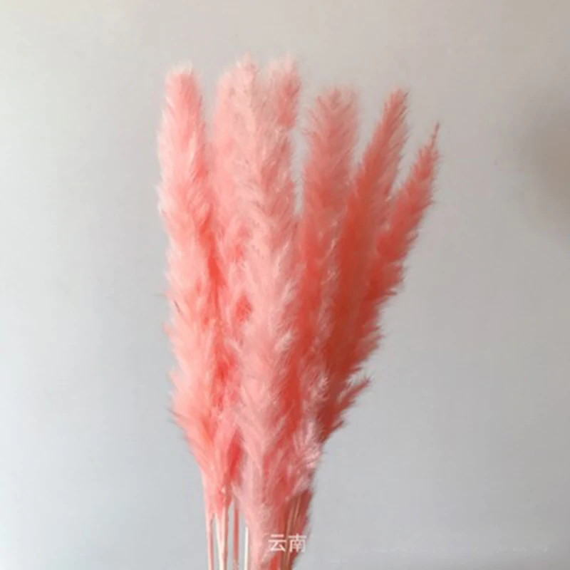 15 шт. Bulrush засушенный натуральный маленький пампасная трава Phragmites munis Свадебный искусственный сушеный цветок букет домашний декор