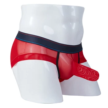 

Men's briefs Breathable Low-rise Sexy Briefs See-through underpants male Intimates Soft Mesh Underwear