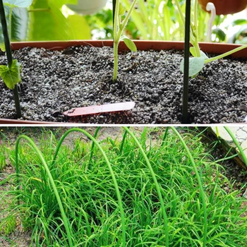 

50pcs/set Windbreak Protection Vegetables Binding Holder Iron Yard Lawn Fixing Support Tool for Plants Fruit Tree Climbing