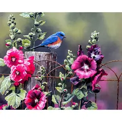 Imagen fotopersonalizada por número, dibujo de flores y pájaros sobre lienzo, Kits de regalo pintados a mano, arte de pared, pintura DIY por número, figura Ho