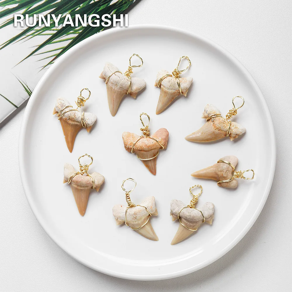 Natural crystal fossil Shark teeth Hand woven Pendant Black Leather Rope Necklace collection | Дом и сад