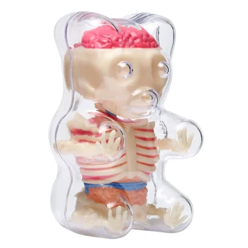 4d Big Bear Transparent Perspective Animal Anatomy Skeleton Bone Puzzle Assembling Toy for Children 4d Big Bear Transparent Perspective Animal Anatomy Skeleton Bone Puzzle Assembling Toy for Children