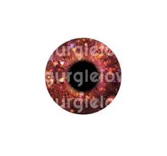 QQ截图20190510114915