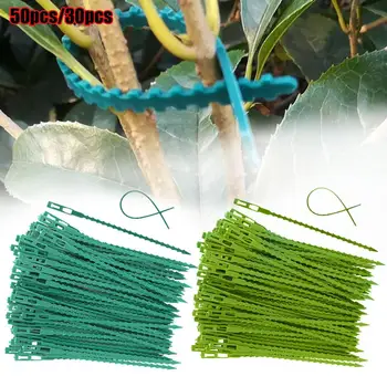 

50/30pcs Plant Cable Ties Plant Support Tomato Vine Climbing Support Plastic Plant Ligature Belt Band Garden Instruments L3