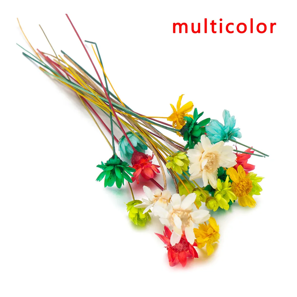 multicolor 10 шт. Модные бразильские звезды сухие цветы эпоксидная смола ремесла наполнения Материалы Смолы наполнитель силиконовые формы для изготовления ювелирных изделий - Color: multicolor