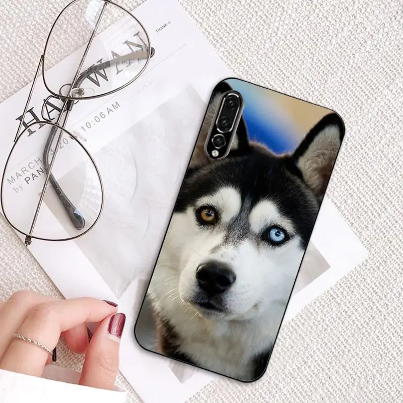 MaiYaCa животных Собака Хаски чехол для телефона для huawei P20 P30 P20Pro P20Lite P30Lite PSmart P10 9Lite - Цвет: A16