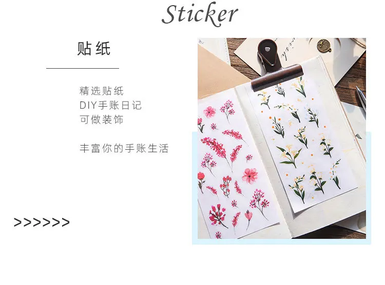 12361335085_1904087305