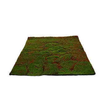 

Plancha alfombra musgo artificial 96x96 cm