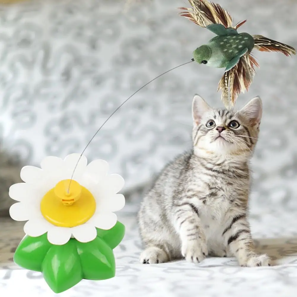 Electric Cat Toy 360 Degrees Rotating Bird Fun Flowers Green Leaf Interactive Training Cat Scratching Flying Bird Toy Cat Toys Aliexpress