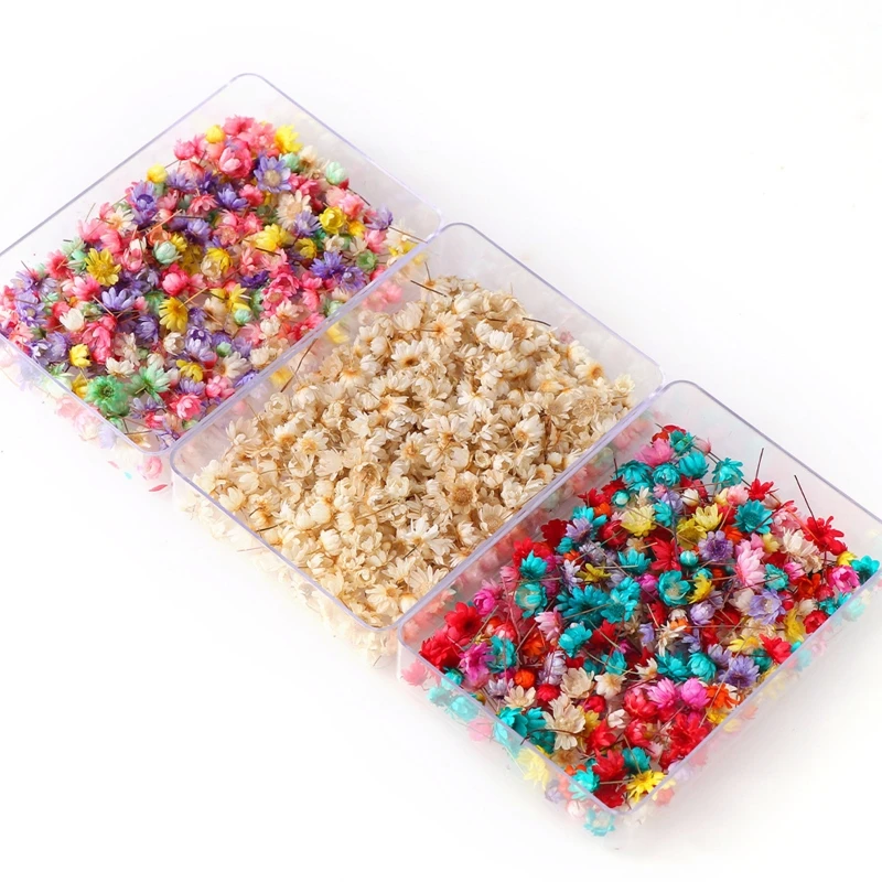

1 Box Real Dried Flowers Brazil Little Star Flower Dried Flowers Natural Dry Flower Epoxy Mold DIY Filling Making Craft Jewelry