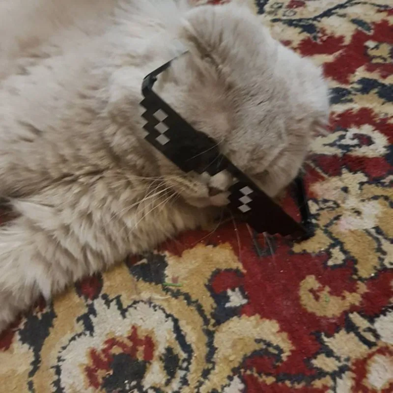 UTB8Vcc5slahduJk43Jaq6zM8FXap