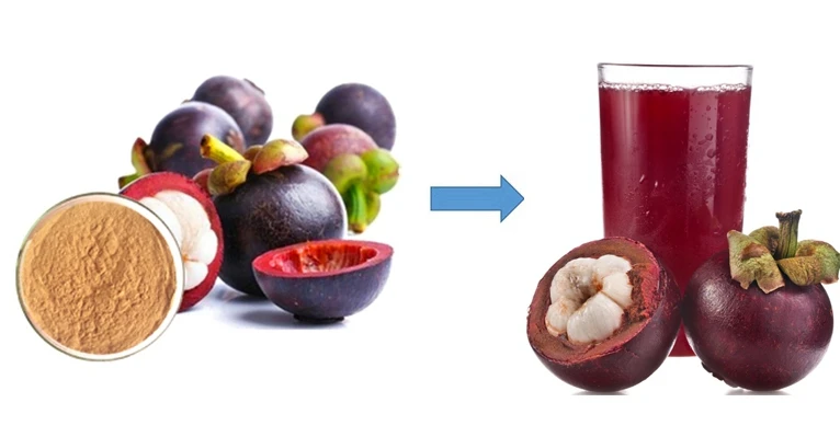 Mangosteen Powder_副本
