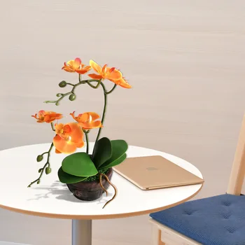 

Export Silk Flower Potted Phalaenopsis Plants Imitation Flowers Set Desktop Ornaments Mini Pot