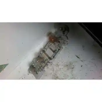 

LAMPHOLDER AUDI A2 (8Z)