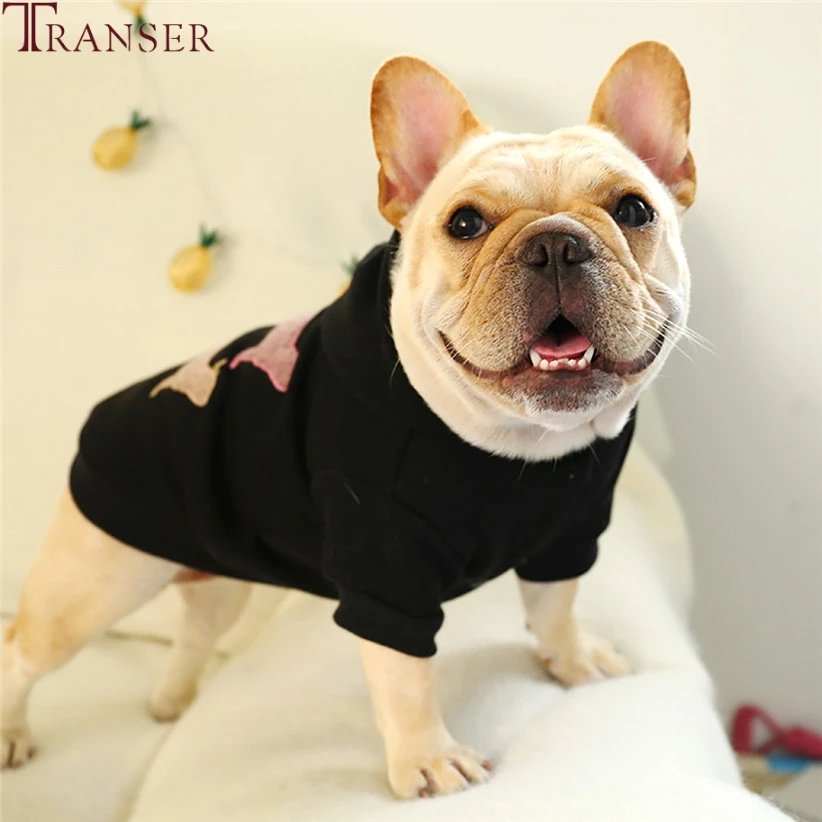 Transer одежда с Мопсом, повседневная спортивная одежда в стиле хип-хоп, худи для домашних собак, толстовка осень-зима, пальто для собаки щенка, верхняя одежда 910