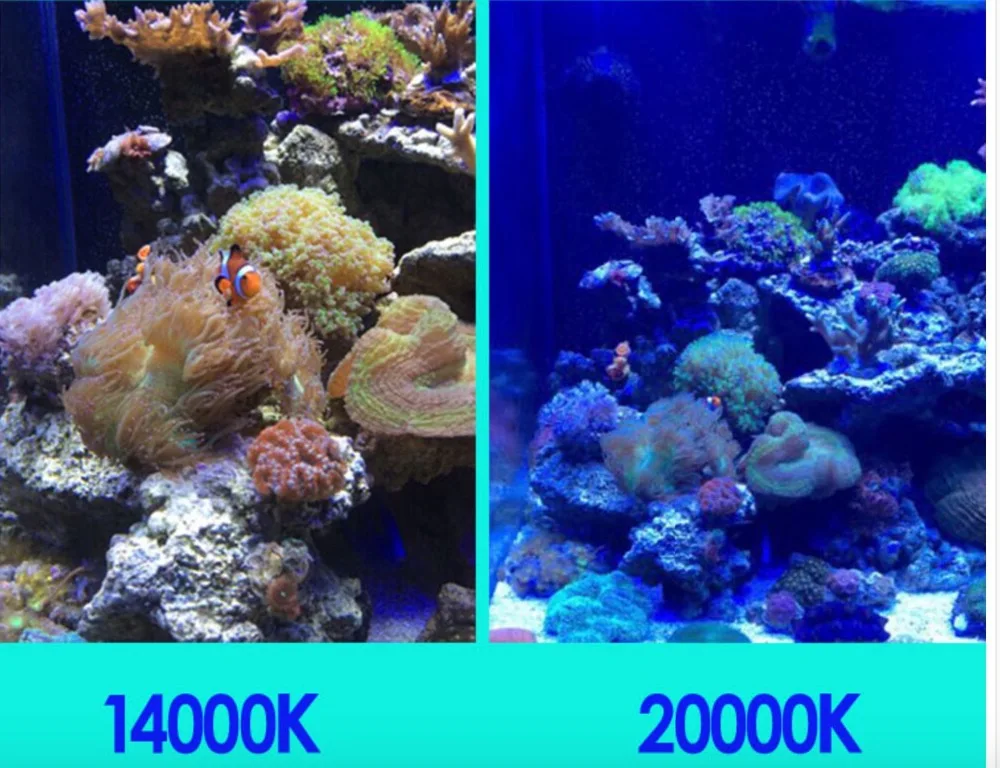 截屏2020-10-03上午10.08.04