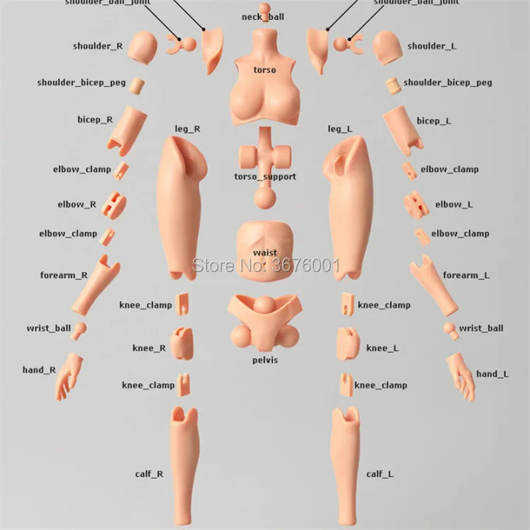 Шарнирный мужской Poseable Femal Figure posuable STL Цифровой 3D Печатный файл с ЧПУ резьба рельеф Гараж Комплект Модель формат GK T0035