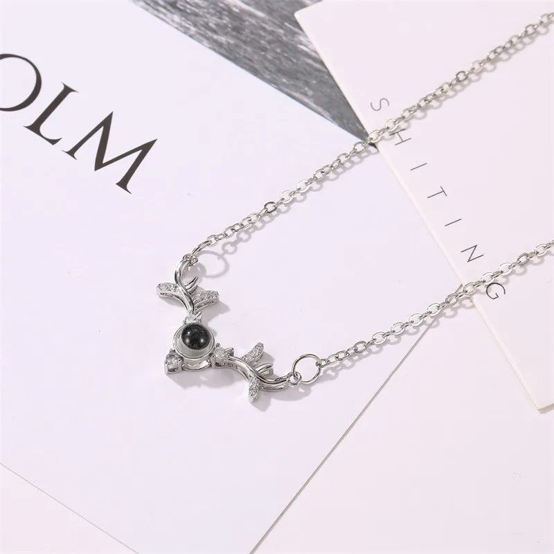 12099374797_2130544268