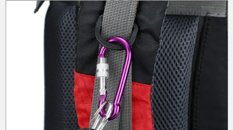 10427266022_421471669_看图王