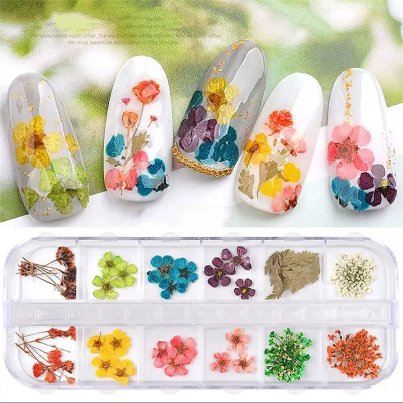 

1 Box Real Pressed Flower Leaves Dried Daisy Flower Resin Art Jewelry Making Accessories DIY Tool