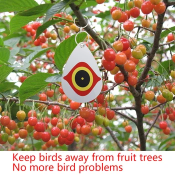 

5Pcs/Set Bird Repellent Diverter Discs Scarer Eye Scare Birds Away Pest Deterrent