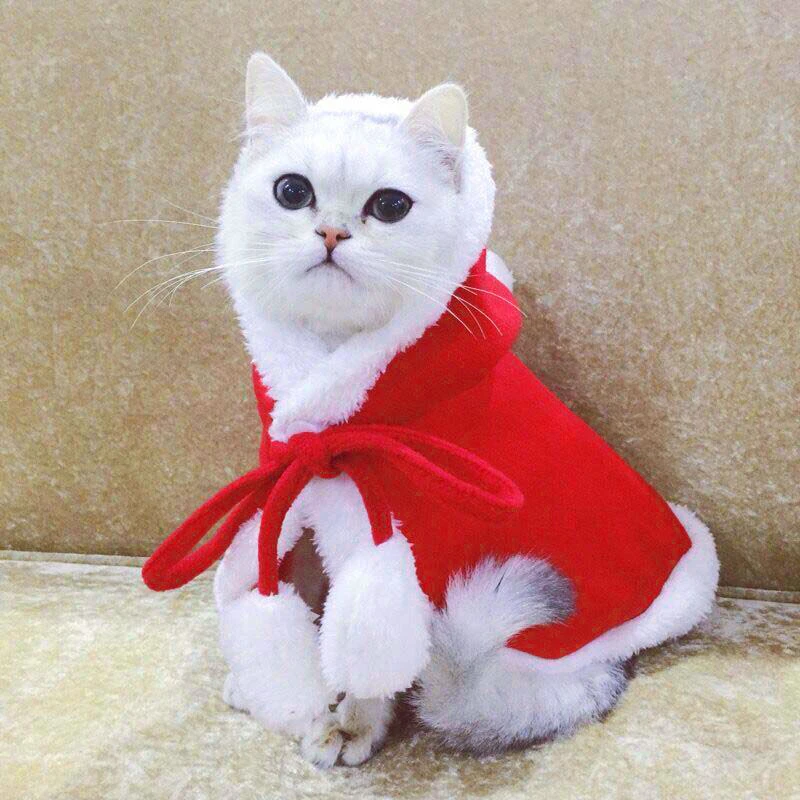 Одежда для собак и кошек, костюмы для рождественских домашних животных, красная одежда, плащи для собак, кошачьи шапки, новогодняя Рождественская Милая теплая одежда