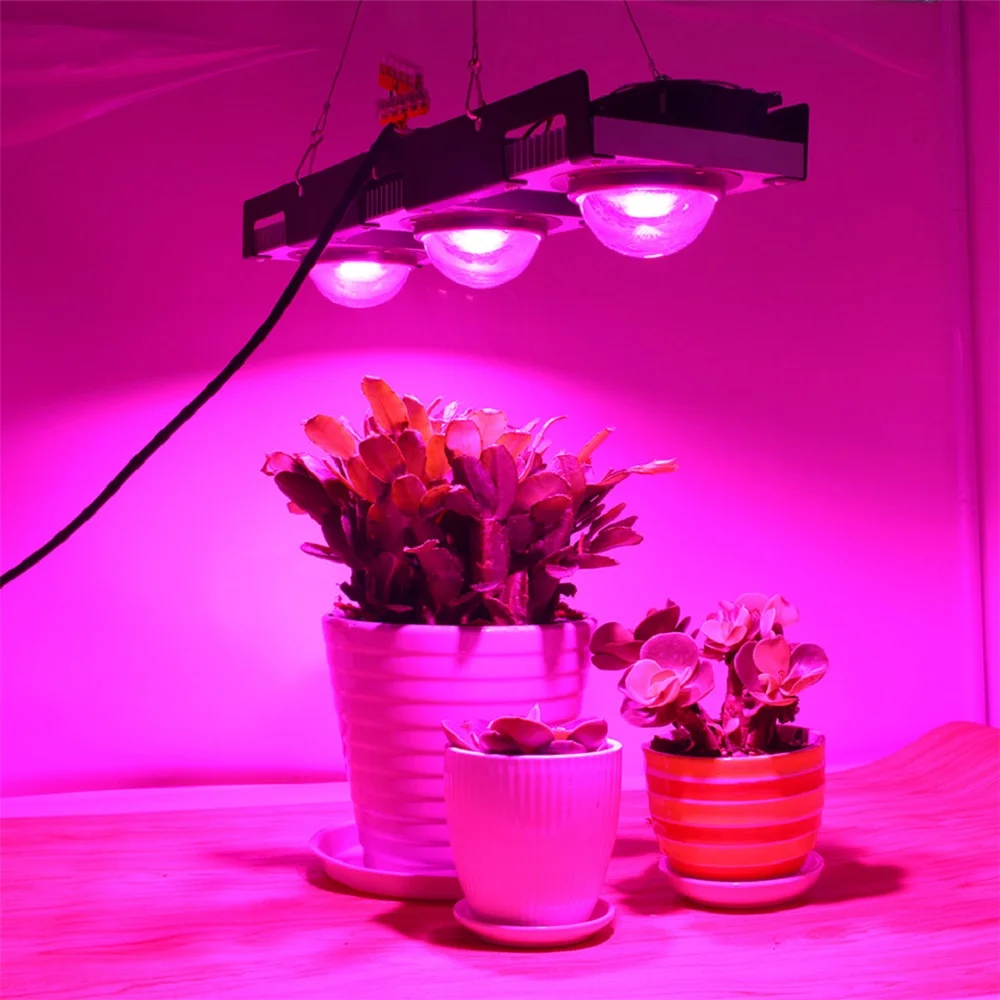 LED Grow Light Полный спектр 100W 200W 300W COB Plant Lamp Для комнатных растений Цветы Теплицы
