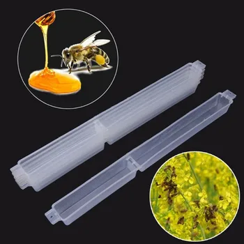 

10 PCS Beekeeping Entry Feeder Cap Feeder Plastic Water Drink Feeding Beekeeping Apiculture Tool Beehive Feeding #R20