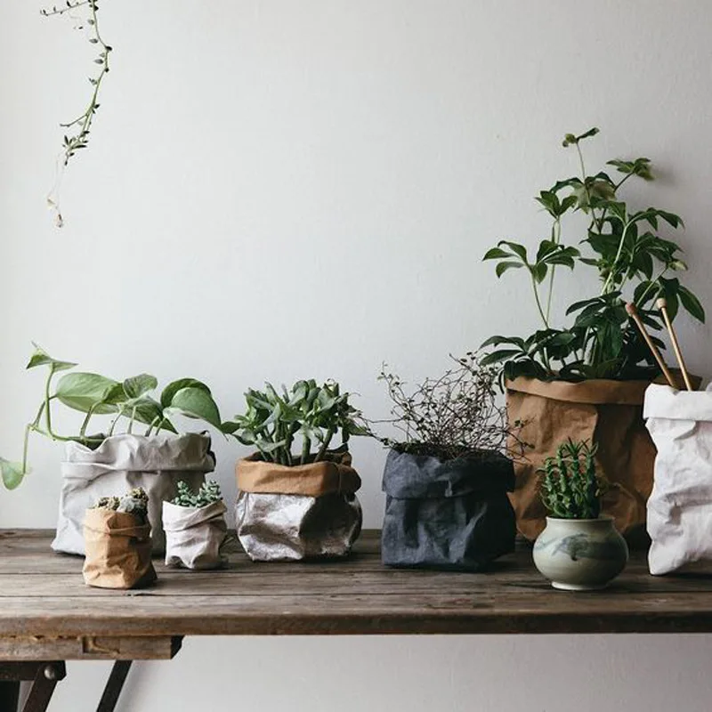 

Nordic Water-washable Kraft Paper Bag Storage Bags Multi-functional Creative Succulent Plant Pot Tearing Small Bonsai Decoration
