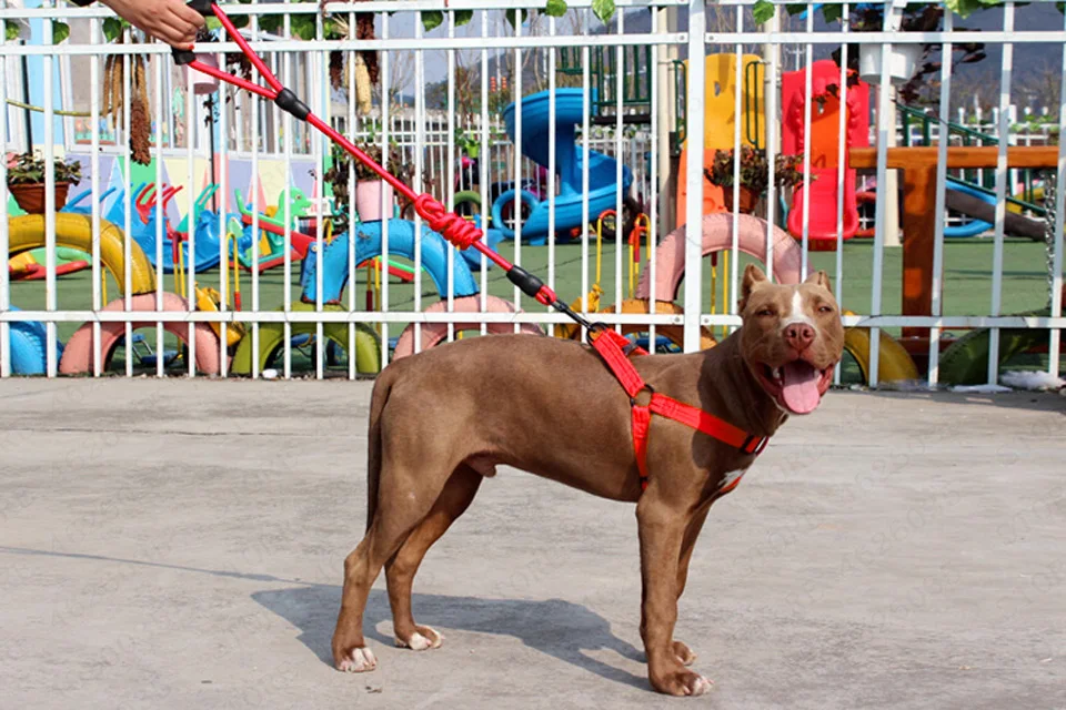 TB2u8HFi4hmpuFjSZFyXXcLdFXa_!!555080699副本