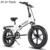 No Tax EU Shipping Electric bike 48V12.8A 20*4.0 fat Tire Bike 750W Мощный Мотор электрический велосипед 45 КМ/Ч Горный/снежный e bike