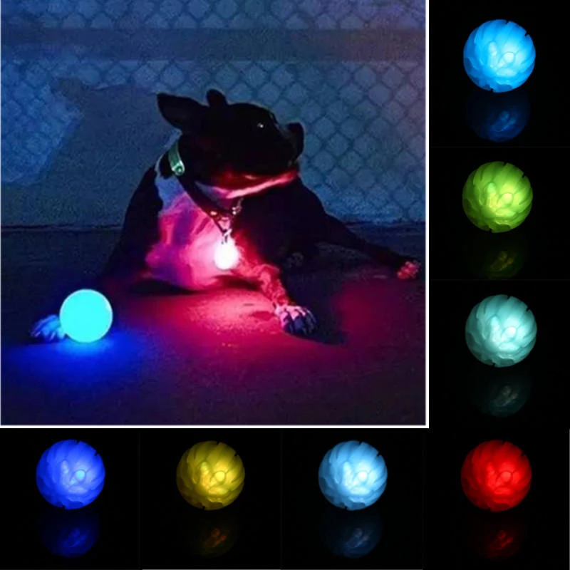 55efe8f6-845b-41c4-9d4c-68d762930393