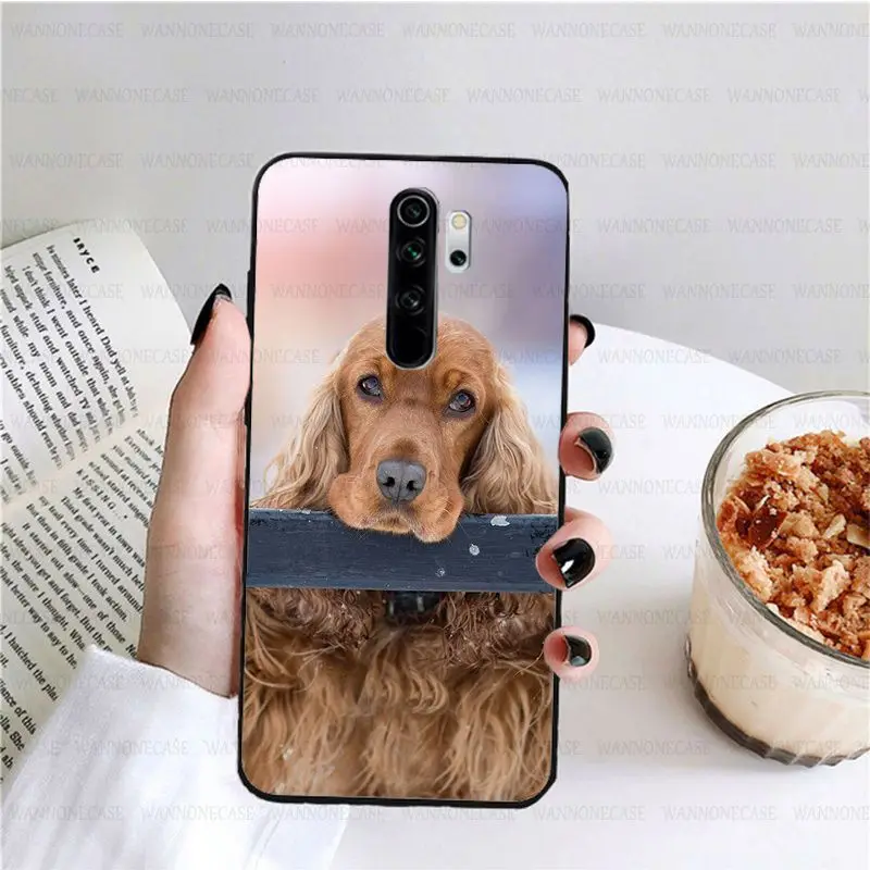 harper cocker spaniel hellip dog puppies