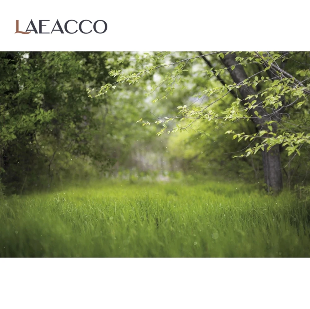 Зеленый фон Laeacco для фотосъемки вечерние фоны пикника весны травы дерева и газона