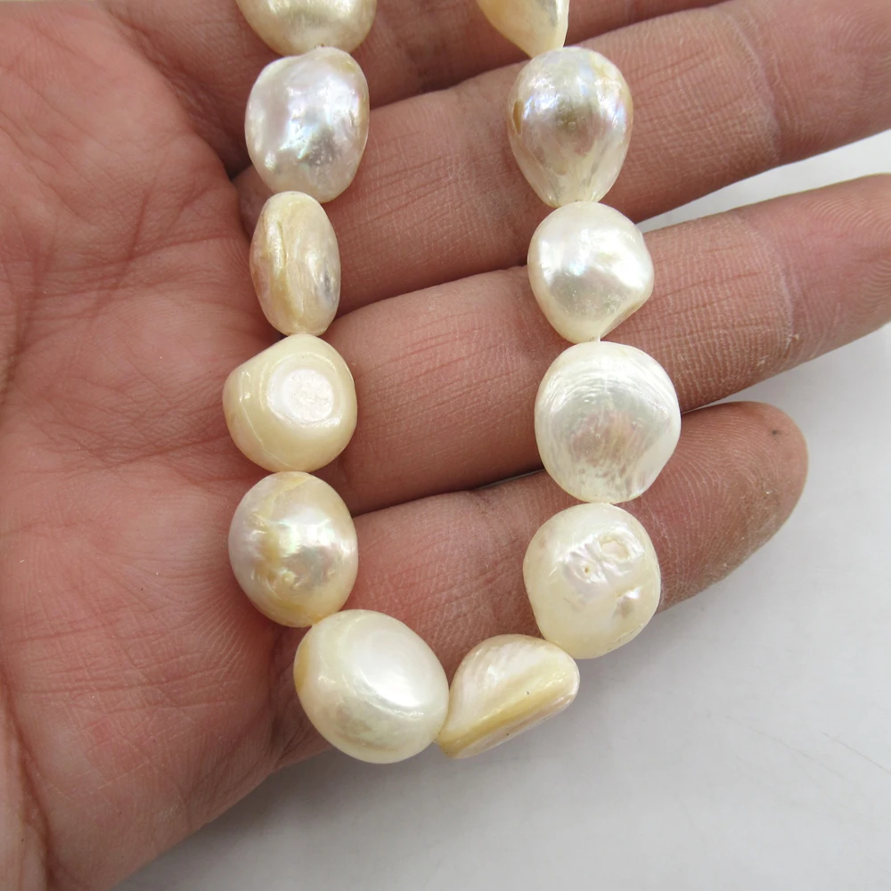 APDGG Wholesale 5 Strands Big Natural Tooth White Shell  Pearl Beads 15'' Loose Beads Jewelry Making DIY