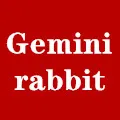 Gemini rabbit Store