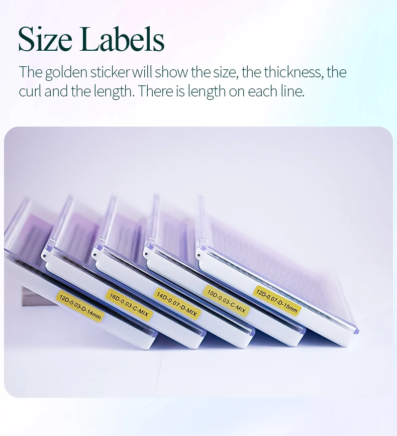 SONG LASHES Premade Volume Fans Mega Tray 360 Fans Sharp Thin Pointy Base Eyelash Extensions  Mega Tray 360Fans 6D 7D 8D 10D 12D