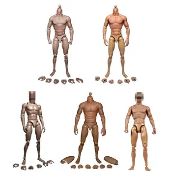 

1/6 Scale Male 12" ZC Toys Male Action Figure Muscular Body