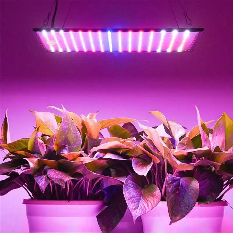 Фитолампа полного спектра для выращивания растений 1000 Вт|Промышленные LED-лампы| |