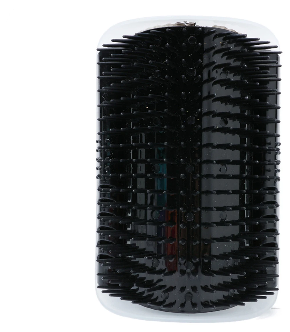 11634199511_878892640