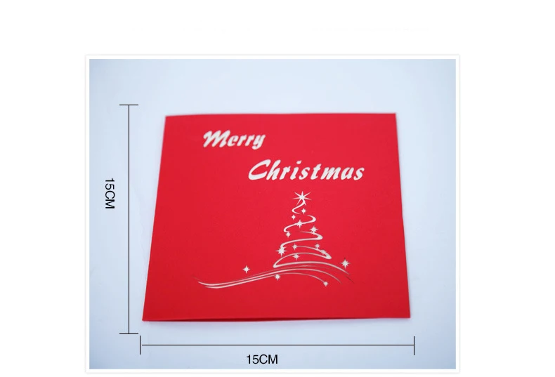 3576736678_281475579