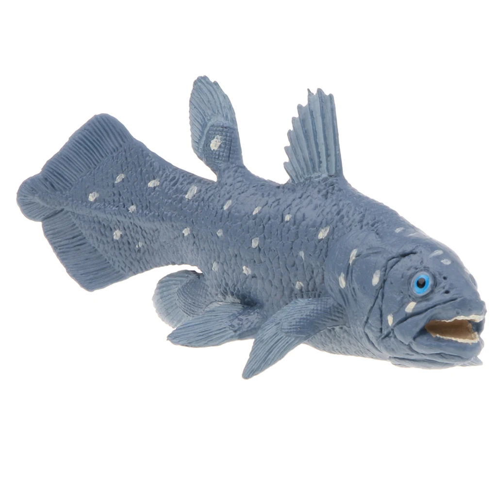 coelacanth toy