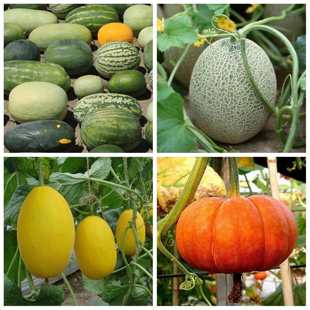 光影魔43术手拼图