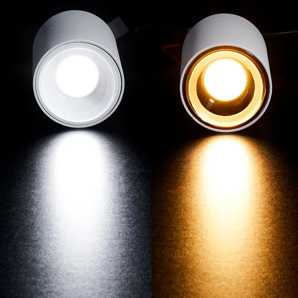 led downlights  (14)