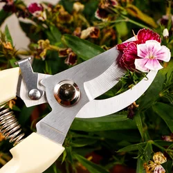 Ciseaux en acier inoxydable pour greffage d'arbres fruitiers, sécateur de bonsaï, sécateur de jardin, outils de jardinage 