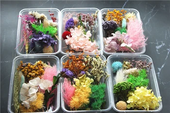 

1 Box Real Dried Flower Dry Plants For Aromatherapy Candle Epoxy Resin Pendant Necklace Jewelry Making Craft DIY Accessories