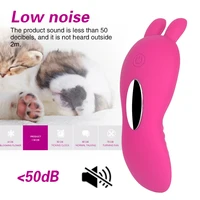 Blush 15 Speed Wireless Remote Vibrating Panties