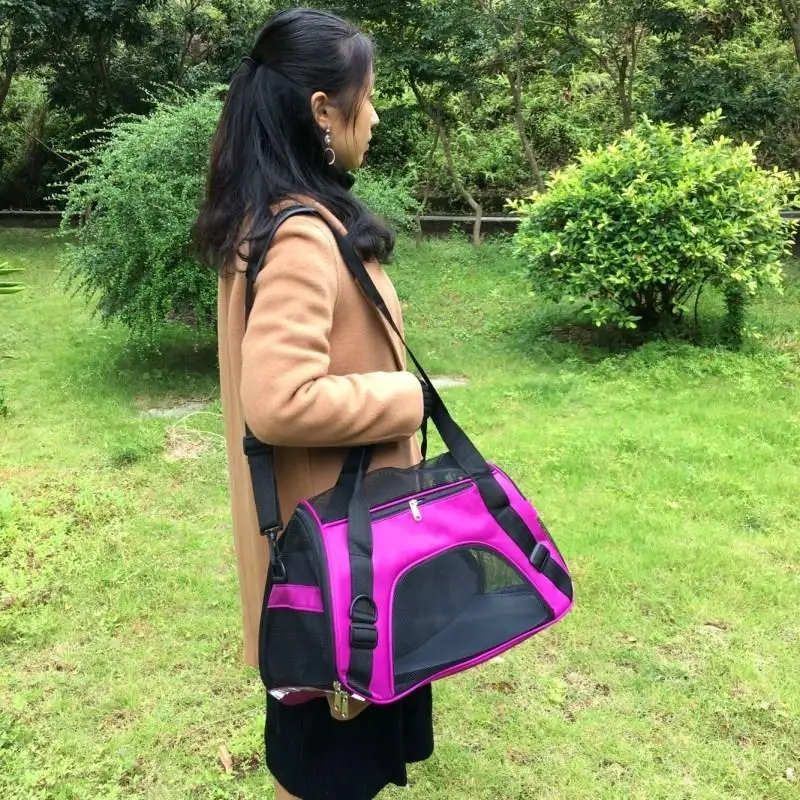 HTB1uNoOapP7gK0jSZFjq6A5aXXam