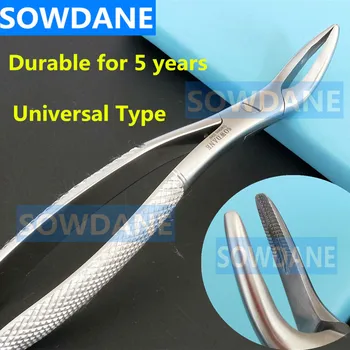 Dental Root Fragment Minimally Invasive Tooth Extraction Forcep Dentist Instrument Curved Universal Type for Adult and Children medical tooth instrument material multifunction plier dental forcep set adult children mouth care animal tooth remove extraction